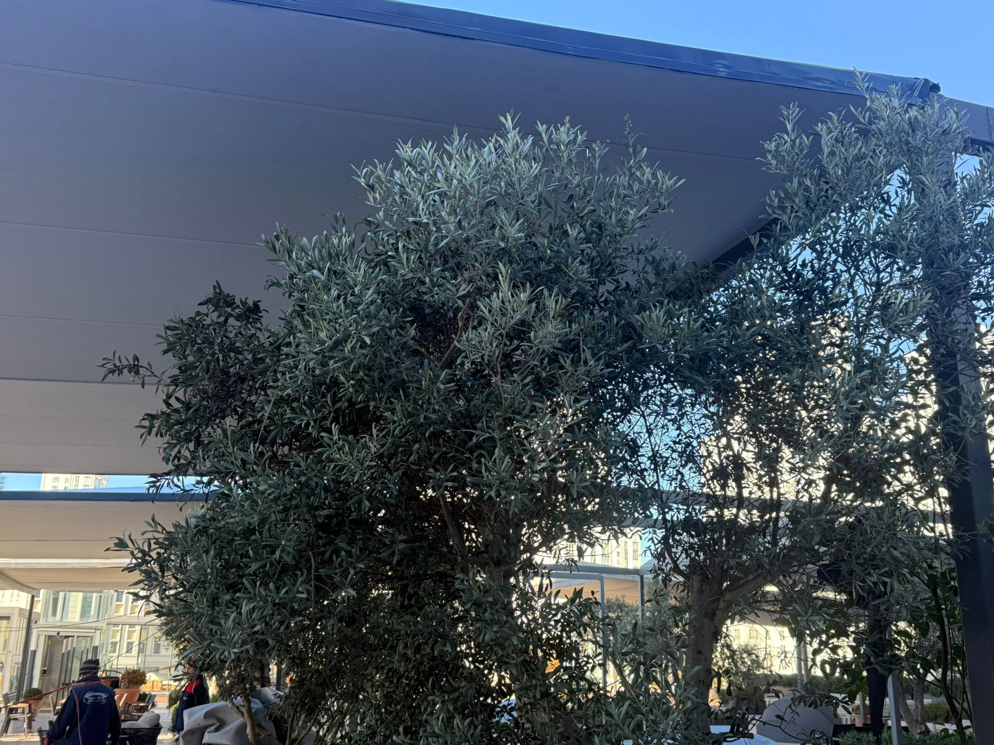 Teras İzolasyon Sistemleri